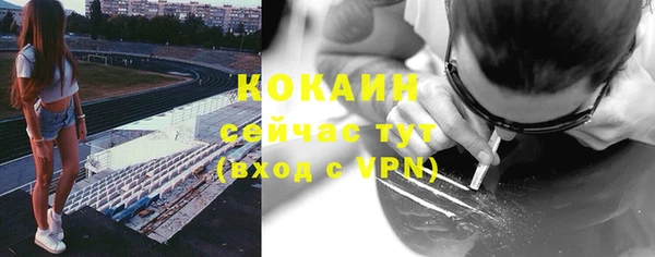 дживик Алзамай