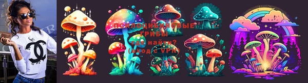 молекула духа Алексеевка